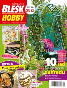 Blesk Hobby - 05/2019