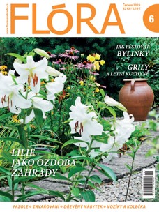 FLora 6-2019