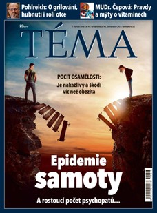 TÉMA DNES - 7.6.2019