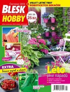 Blesk Hobby - 07/2019