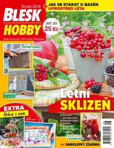 Blesk Hobby - 08/2019