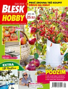 Blesk Hobby - 09/2019