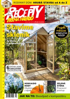 Recepty prima nápadů 10/2019