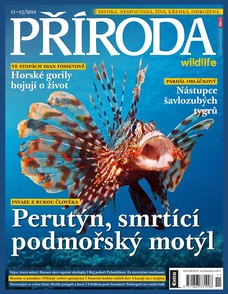 Příroda 11-12/2019