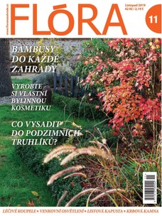 Flora 11-2019
