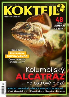Koktejl 12/2019