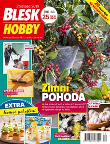 Blesk Hobby - 12/2019