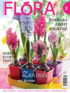 Flora 2-2020