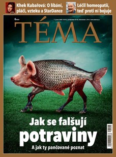 TÉMA DNES - 7.2.2020