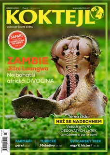 Koktejl 3/2020