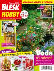 Blesk Hobby - 06/2020