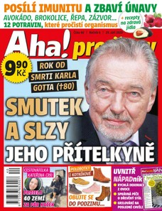 AHA! pro ženy - 40/2020