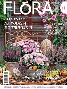 Flora 11-2020
