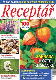 Receptář 11/2020