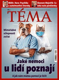 TÉMA DNES - 27.11.2020