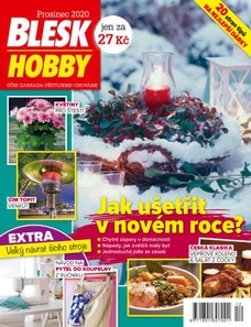 Blesk Hobby - 12/2020