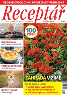 Receptář 1/2021