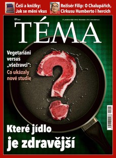 TÉMA DNES - 31.12.2020