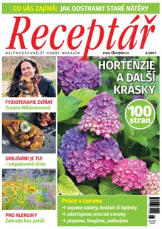 Receptář 6/2021