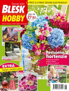 Blesk Hobby - 06/2021