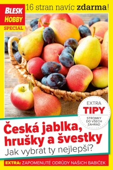 Příloha Blesk Hobby - 1.9.2021