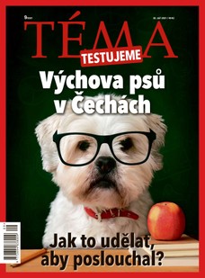 TÉMA TESTUJEME - 10/2021