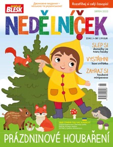 NEDĚLNÍČEK - 08/2022