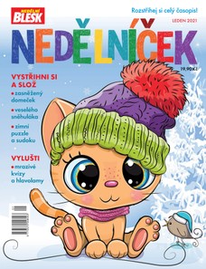 NEDĚLNÍČEK 01/2021