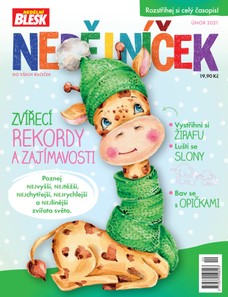 NEDĚLNÍČEK 02/2021