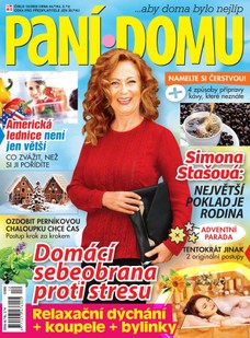 Paní domu 12/22