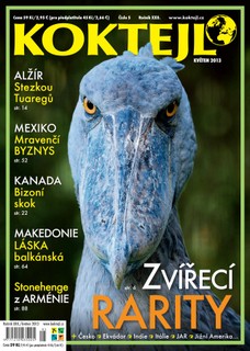 Koktejl 5/2013