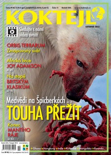 Koktejl 11/2013