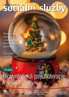 Sociální služby 12/2020