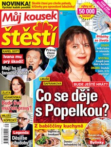 Můj kousek štěstí 39/15