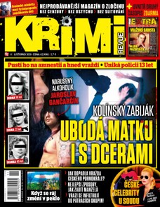 Krimi revue 11/20