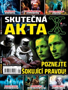 Knihovnička Enigma 1/18