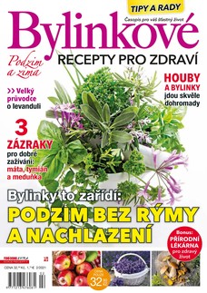 Bylinkové recepty 2/21