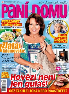 Paní domu 2/17