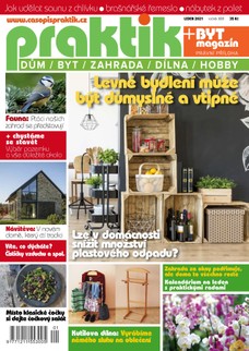 PRAKTIK & příloha Byt magazín 1/2021