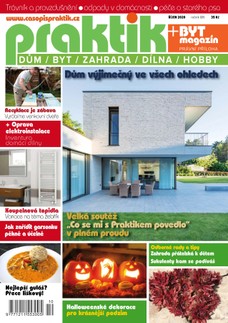 PRAKTIK & příloha Byt magazín 10/2020