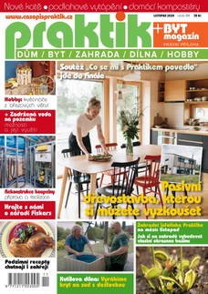 PRAKTIK & příloha Byt magazín 11/2020