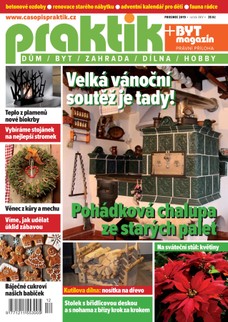 PRAKTIK & příloha Byt magazín 12/2019