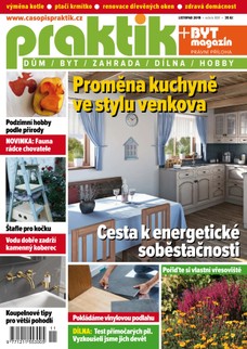 PRAKTIK & příloha Byt magazín 11/2019