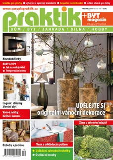 PRAKTIK & příloha Byt magazín 12/2018