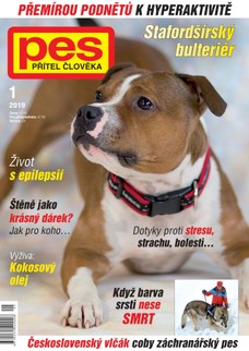 Pes přítel člověka 1/2019
