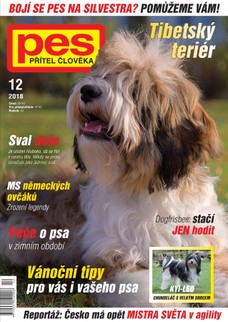 Pes přítel člověka 12/2018