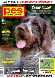 Pes přítel člověka 9/2018