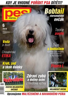 Pes přítel člověka 6/2018
