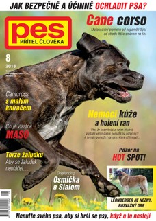 Pes přítel člověka 8/2018