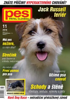 Pes přítel člověka 11/2018